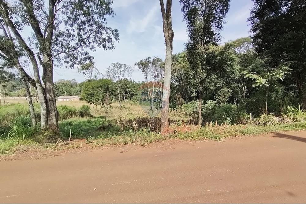 Terreno - Venda - Erechim , Rio Grande do Sul - WhatsApp Image 2025-04-30 at 13.58.30 (2).jpeg - Fachada - 612761043-1