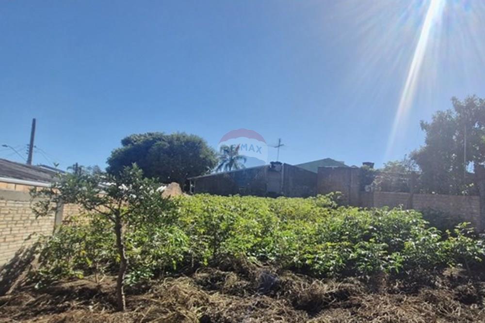 Terreno - Venda - Sapucaia do Sul , Rio Grande do Sul - Rua Clovis Ely  2025-05-14 at 10.45.58 (3).jpeg - 612561040-16