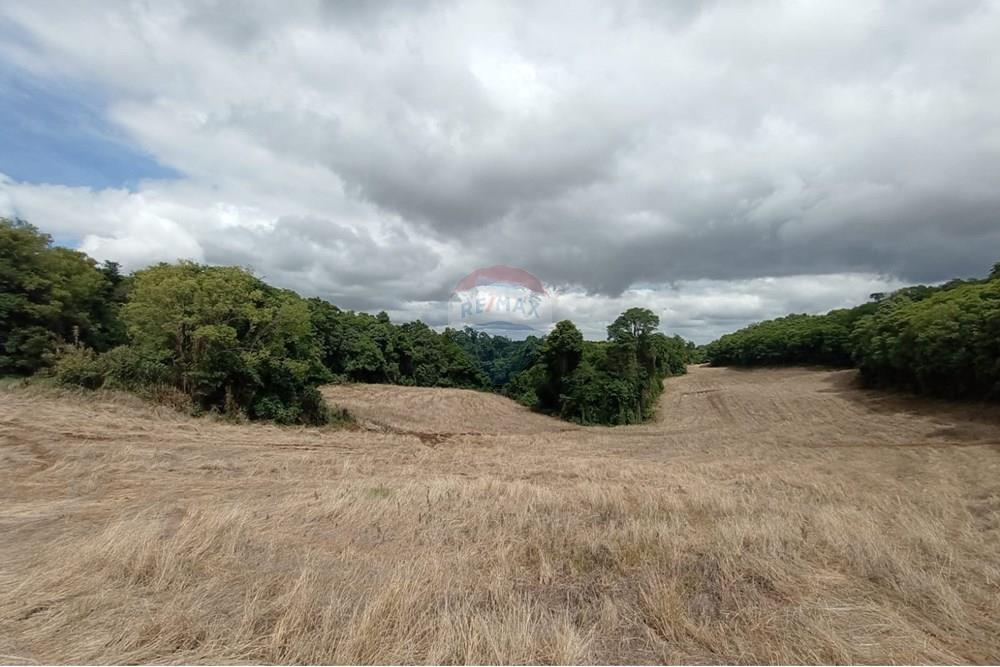 Chácara / Sítio / Fazenda - Venda - Sarandi , Rio Grande do Sul - WhatsApp Image 2025-11-26 at 16.01.40 (3).jpeg - 610341020-16