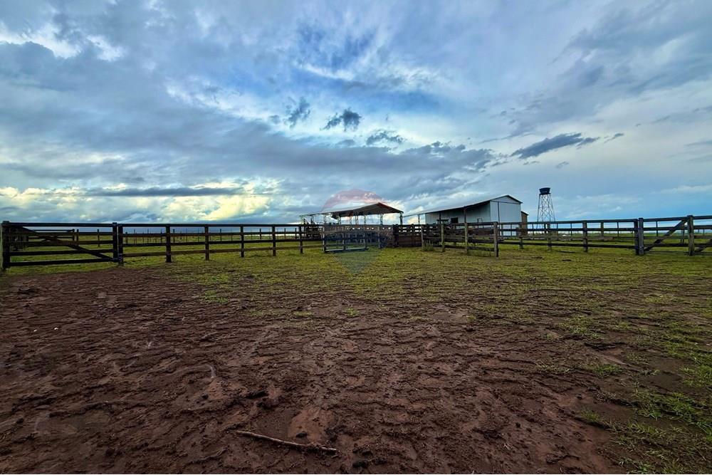 Chácara / Sítio / Fazenda - Venda - São Gabriel , Rio Grande do Sul - WhatsApp Image 2025-03-07 at 09.58.55 (2).jpeg - 612631001-65
