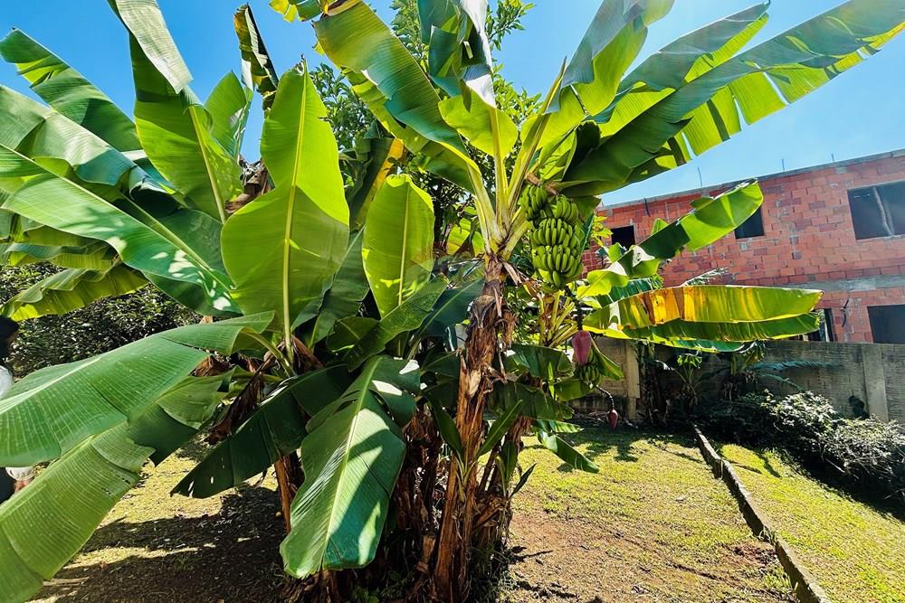 Casa - Venda - Gravataí , Rio Grande do Sul - IMG_2269.jpg - 610051088-4