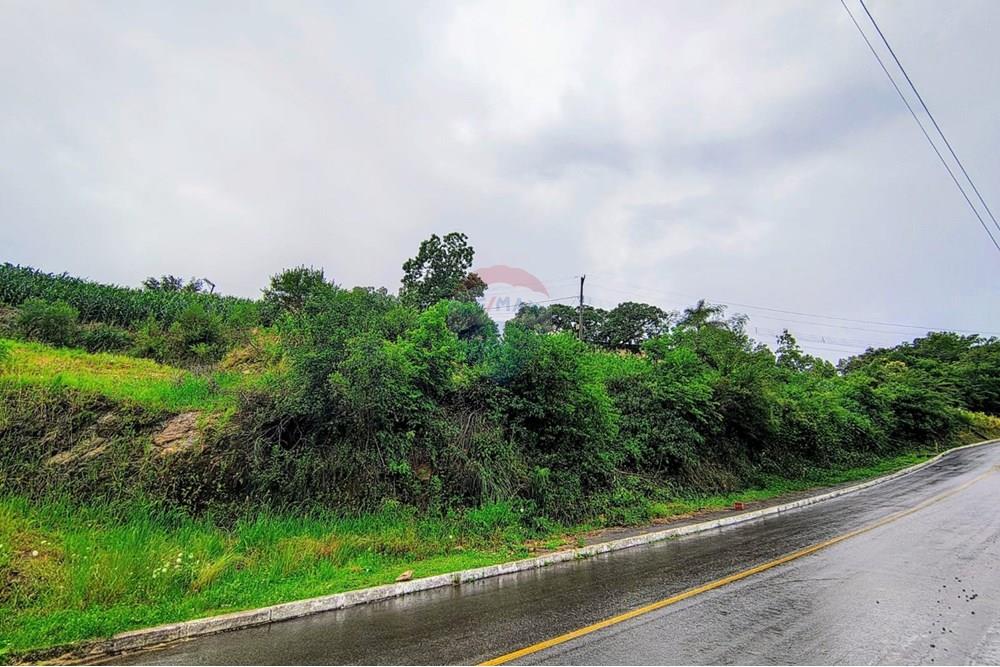 Terreno - Venda - Coronel Pilar , Rio Grande do Sul - WhatsApp Image 2025-12-30 at 11.22.23 (5).jpeg - 610331038-184