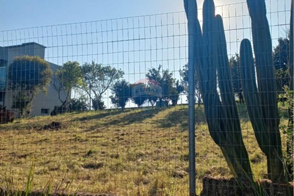 Terreno - Venda - Trindade do Sul , Rio Grande do Sul - WhatsApp Image 2025-08-30 at 17.42.50.jpeg - 610231035-3