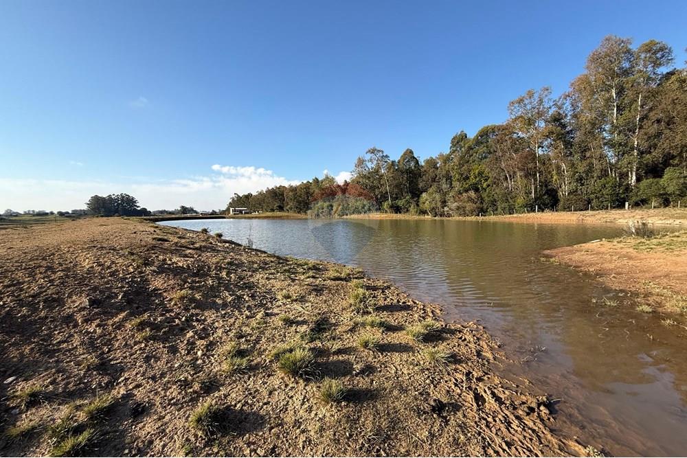 Chácara / Sítio / Fazenda - Venda - São Gabriel , Rio Grande do Sul - 6aa46d54-bb79-44f4-9c8f-0b854116b2a9.jpeg - 612631037-9