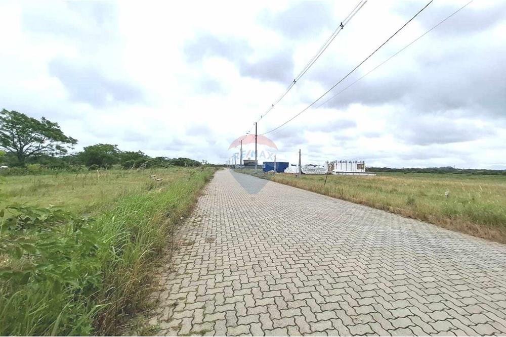 Terreno - Venda - Pelotas , Rio Grande do Sul - 7.jpeg - 610211061-2