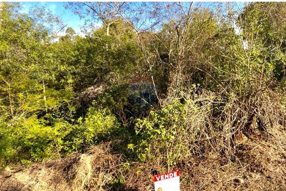 Terreno - Venda - Guaíba , Rio Grande do Sul - Imagem do WhatsApp de 2025-08-28 à(s) 16.10.23_9d5b74ad.jpg - 612781019-11