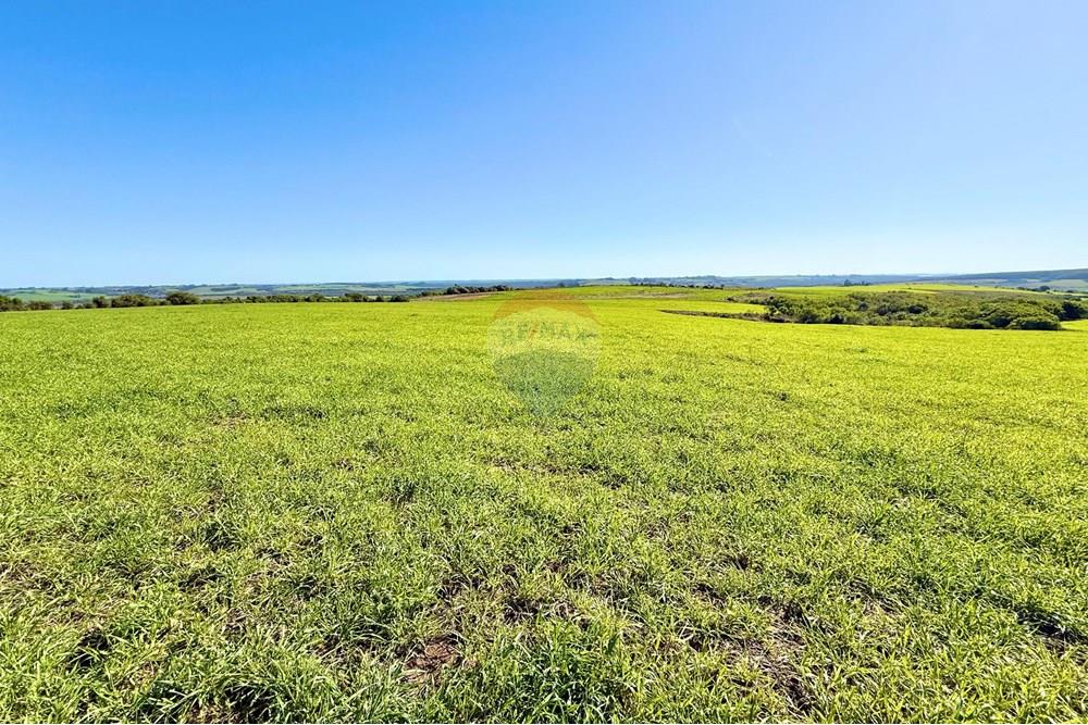 Chácara / Sítio / Fazenda - Venda - Santa Margarida do Sul , Rio Grande do Sul - WhatsApp Image 2025-06-25 at 09.09.45 (1).jpeg - 612631001-60