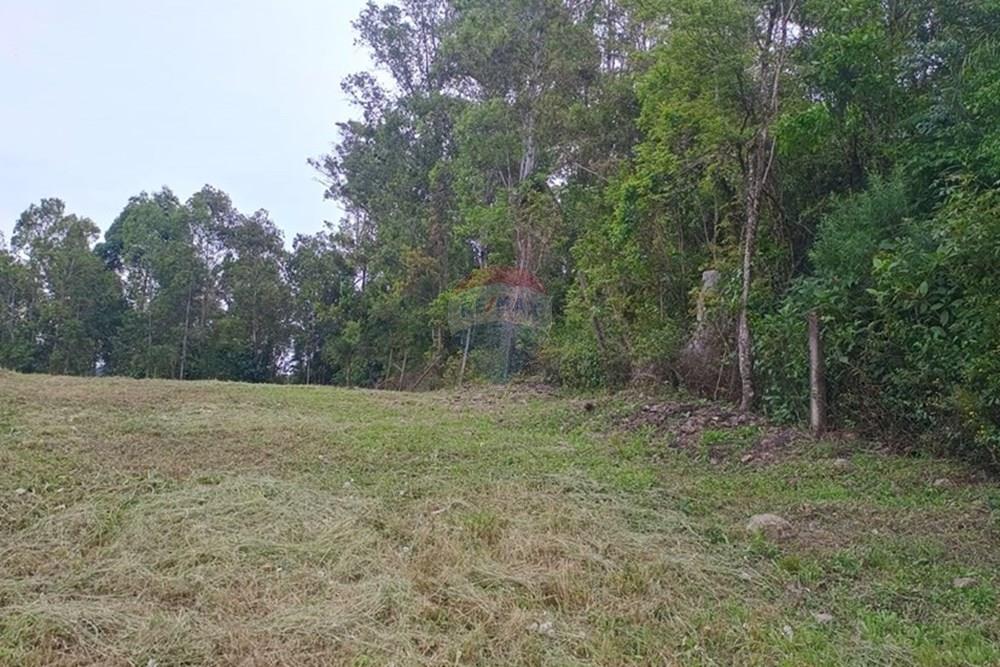 Terreno - Venda - Garibaldi , Rio Grande do Sul - WhatsApp Image 2025-10-31 at 15.00.09 (3).jpeg - 610331050-3