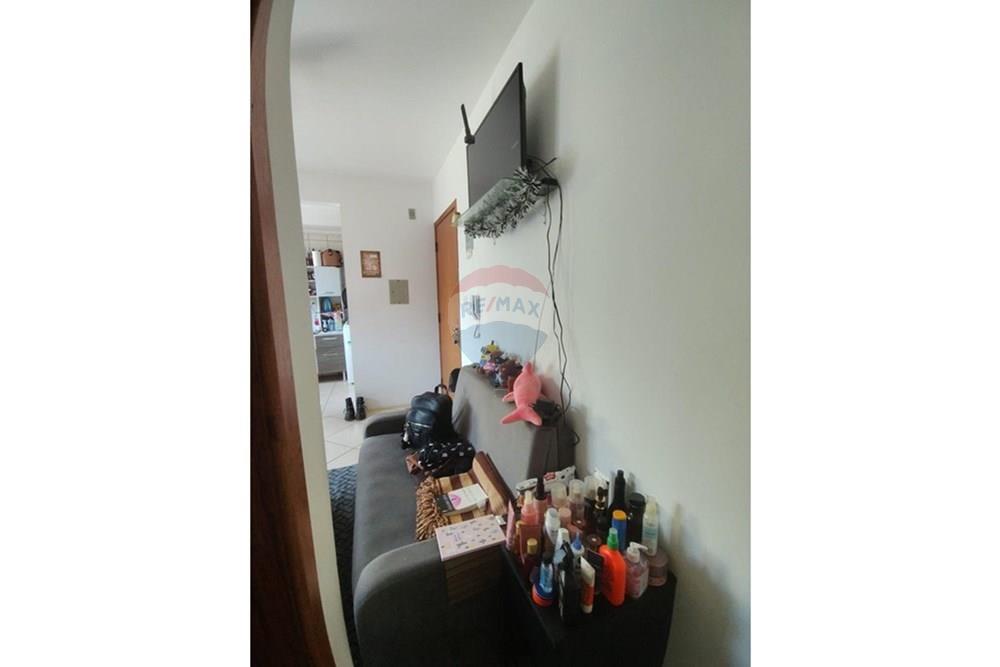 Apartamento - Venda - Santa Maria , Rio Grande do Sul - WhatsApp Image 2026-01-20 at 16.14.36 (2).jpeg - 610471003-252