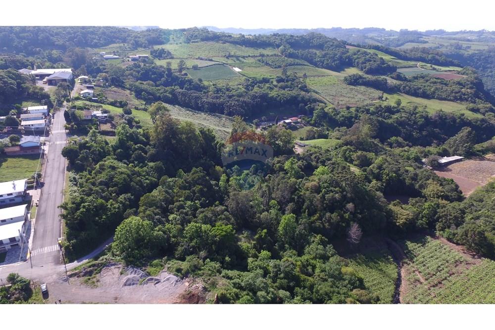 Terreno - Venda - Nova Pádua , Rio Grande do Sul - DJI_00681.jpg - 612551039-219