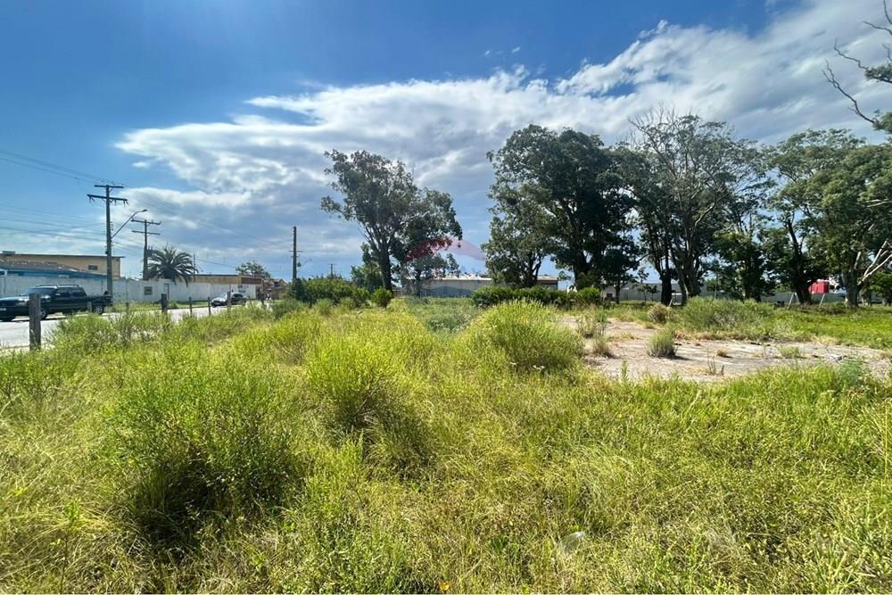 Terreno - Venda - Rio Grande , Rio Grande do Sul - WhatsApp Image 2026-02-12 at 23.43.34.jpeg - 610211007-15