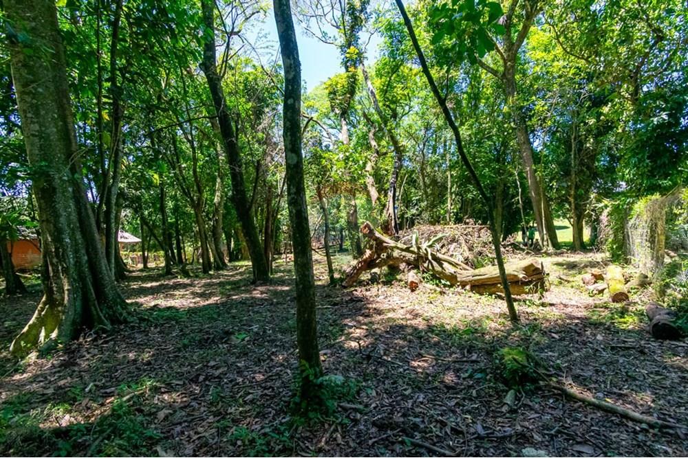 Chácara / Sítio / Fazenda - Venda - Gravataí , Rio Grande do Sul - LRP 13.jpg - 612551082-7