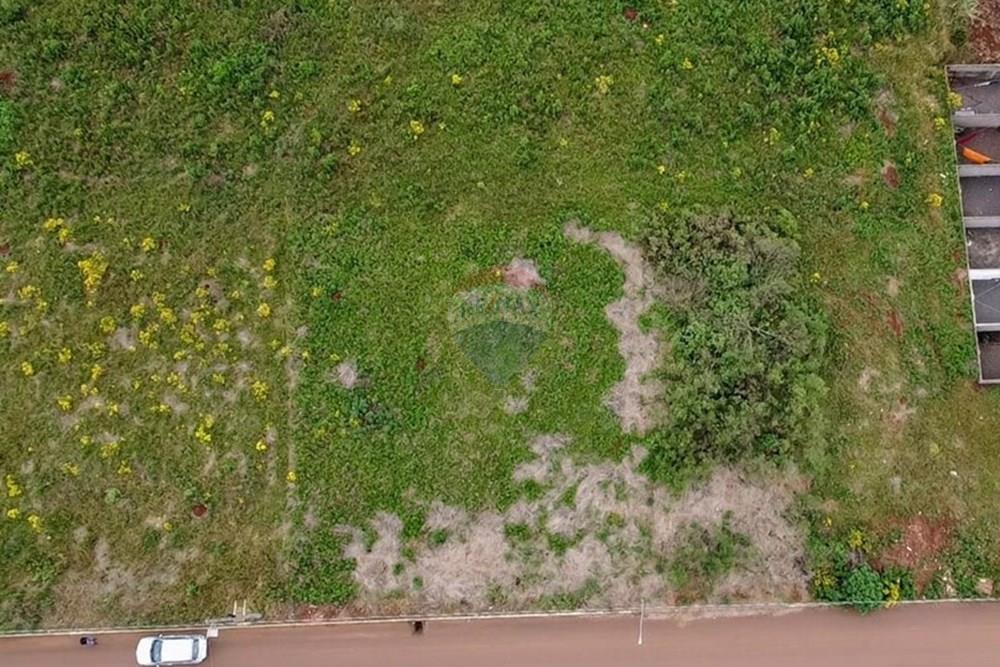 Terreno - Venda - Trindade do Sul , Rio Grande do Sul - IMG-20241019-WA0028.jpg - 610231001-226