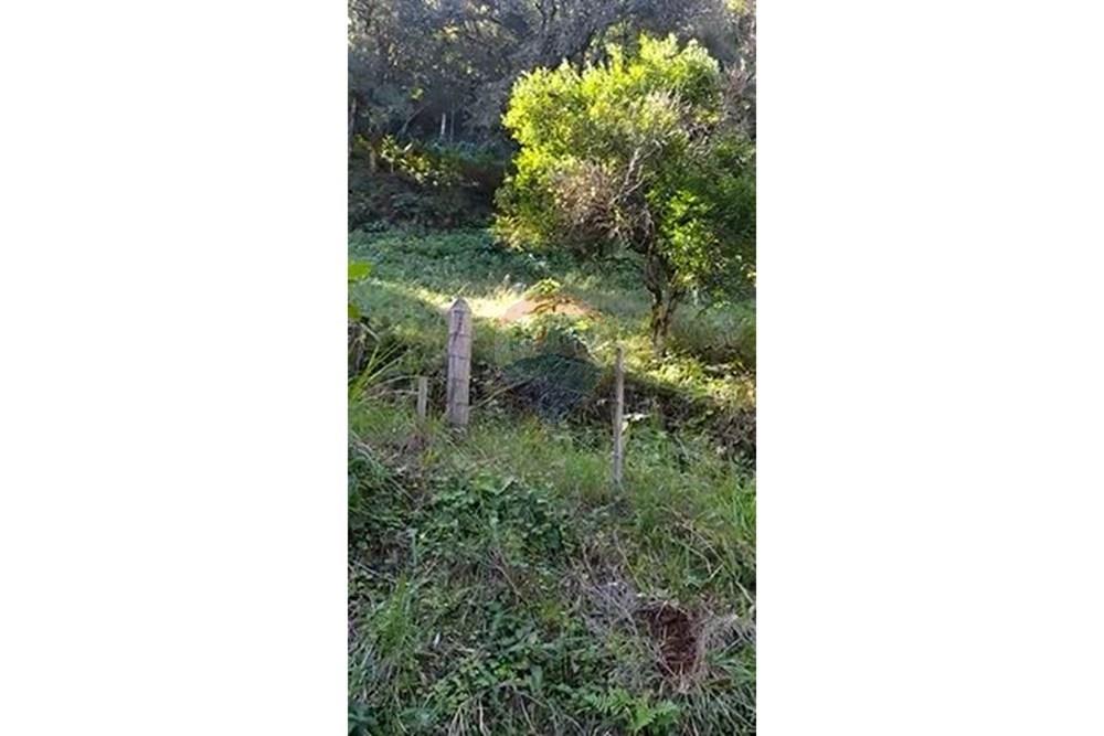 Terreno - Venda - Veranópolis , Rio Grande do Sul - d.jpg - Quintal - 610331058-3