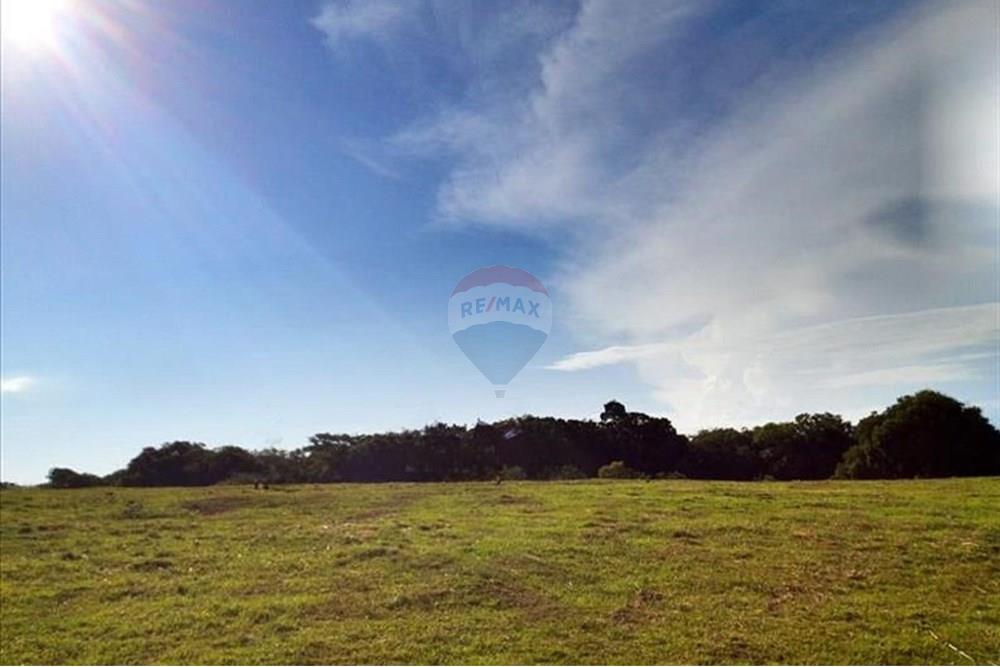 Chácara / Sítio / Fazenda - Venda - Viamão , Rio Grande do Sul - WhatsApp Image 2025-08-06 at 10.46.59.jpeg - 612531061-5