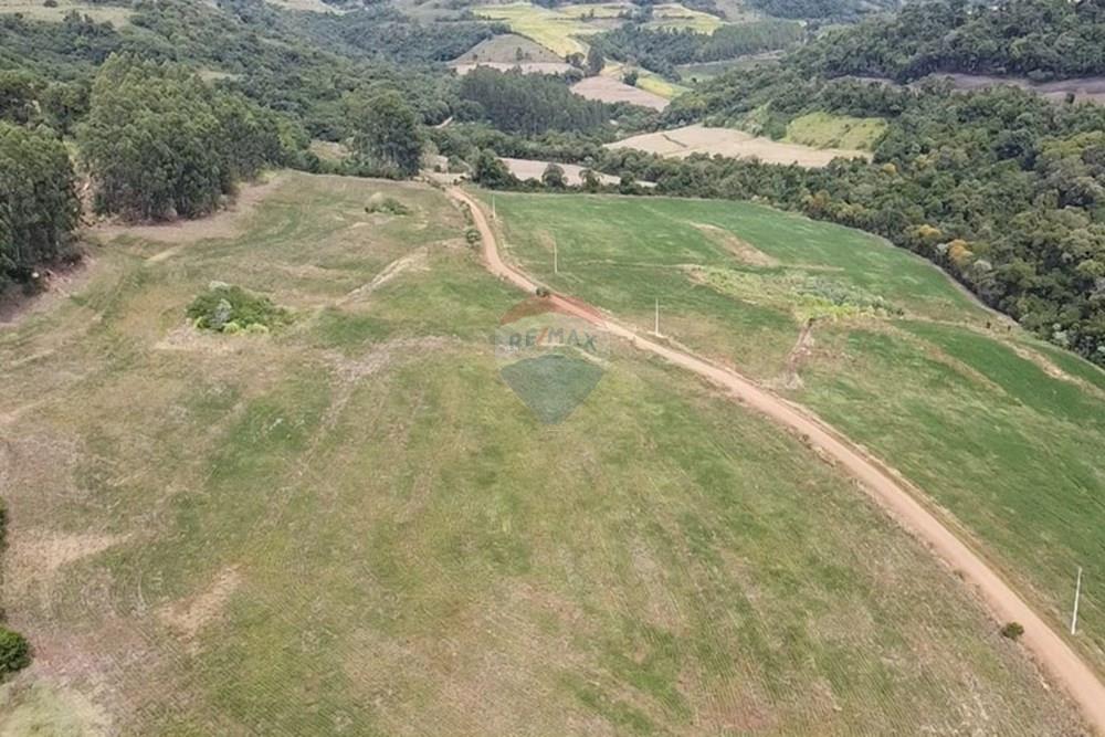 Chácara / Sítio / Fazenda - Venda - Trindade do Sul , Rio Grande do Sul - IMG-20250325-WA0057.jpg - 610231004-88