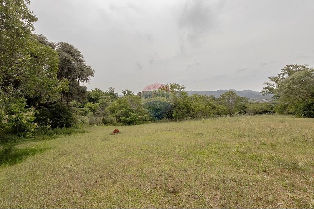 Terreno - Venda - Porto Alegre , Rio Grande do Sul - 0805-272 (13).jpg - 612521075-18