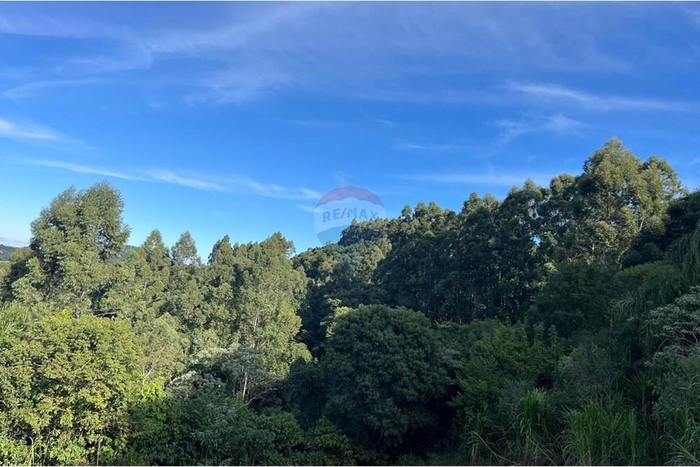 Chácara / Sítio / Fazenda - Venda - Santa Cruz do Sul , Rio Grande do Sul - WhatsApp Image 2025-06-11 at 15.36.18 (2).jpeg - 612741028-54