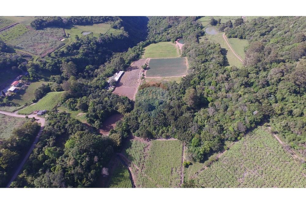 Terreno - Venda - Nova Pádua , Rio Grande do Sul - DJI_0047.jpg - 612551039-219