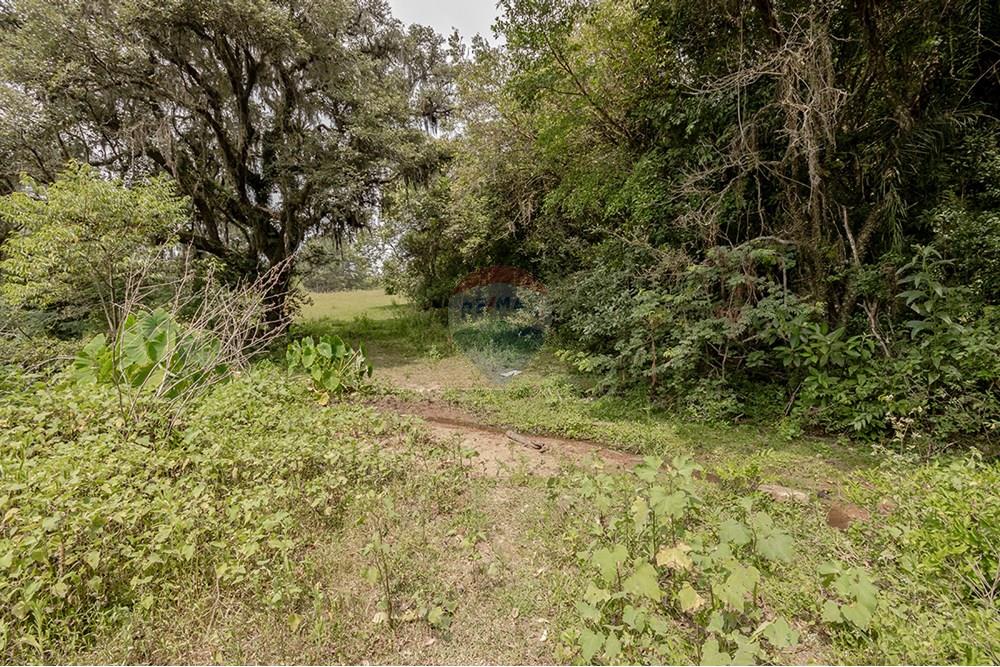 Terreno - Venda - Porto Alegre , Rio Grande do Sul - 0805-272 (11).jpg - 612521075-18