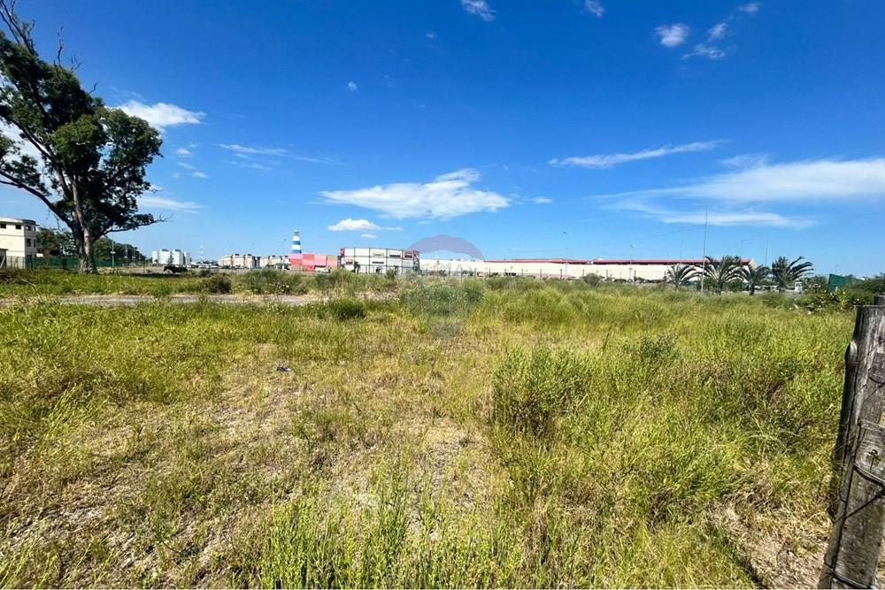 Terreno - Venda - Rio Grande , Rio Grande do Sul - WhatsApp Image 2026-02-12 at 23.43.40.jpeg - 610211007-15