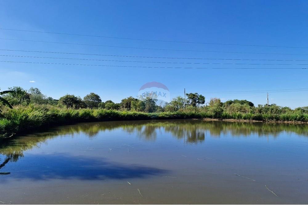 Chácara / Sítio / Fazenda - Venda - Trindade do Sul , Rio Grande do Sul - IMG-20250305-WA0021.jpg - 610231004-87