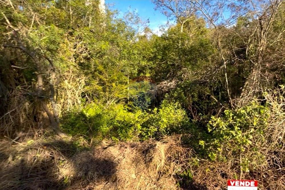 Terreno - Venda - Guaíba , Rio Grande do Sul - Imagem do WhatsApp de 2025-08-28 à(s) 16.10.24_d79a3ec1.jpg - 612781019-16