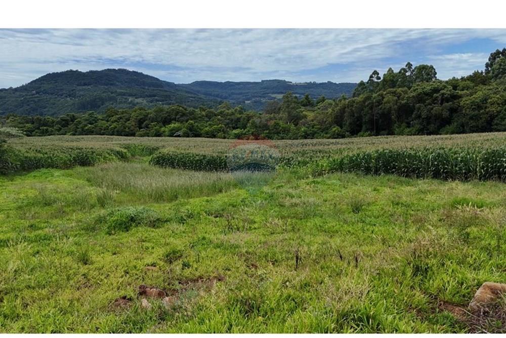 Chácara / Sítio / Fazenda - Venda - Gramado , Rio Grande do Sul - WhatsApp Image 2026-02-24 at 16.26.07 (4).jpeg - 610131034-44