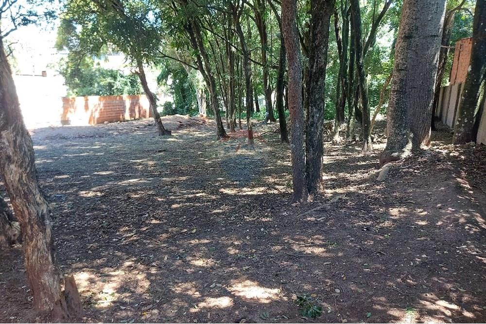 Terreno - Venda - Passo Fundo , Rio Grande do Sul - WhatsApp Image 2026-01-06 at 10.23.48 (2).jpeg - 612721043-11