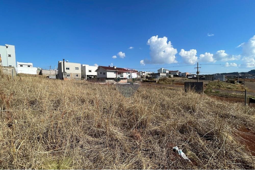 Terreno - Venda - Erechim , Rio Grande do Sul - WhatsApp Image 2025-07-14 at 16.40.48 (2).jpeg - 612761012-8