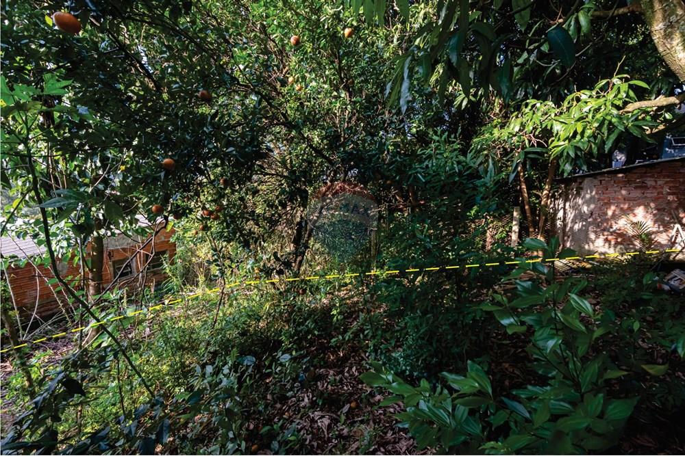 Terreno - Venda - Novo Hamburgo , Rio Grande do Sul - DSC_5063a.jpeg - 610261057-8