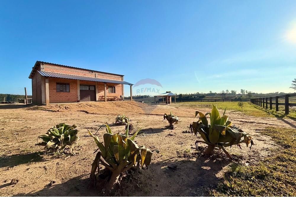 Chácara / Sítio / Fazenda - Venda - São Gabriel , Rio Grande do Sul - 4c16d908-7f10-44c1-b500-8f12df08f930.jpeg - 612631037-9