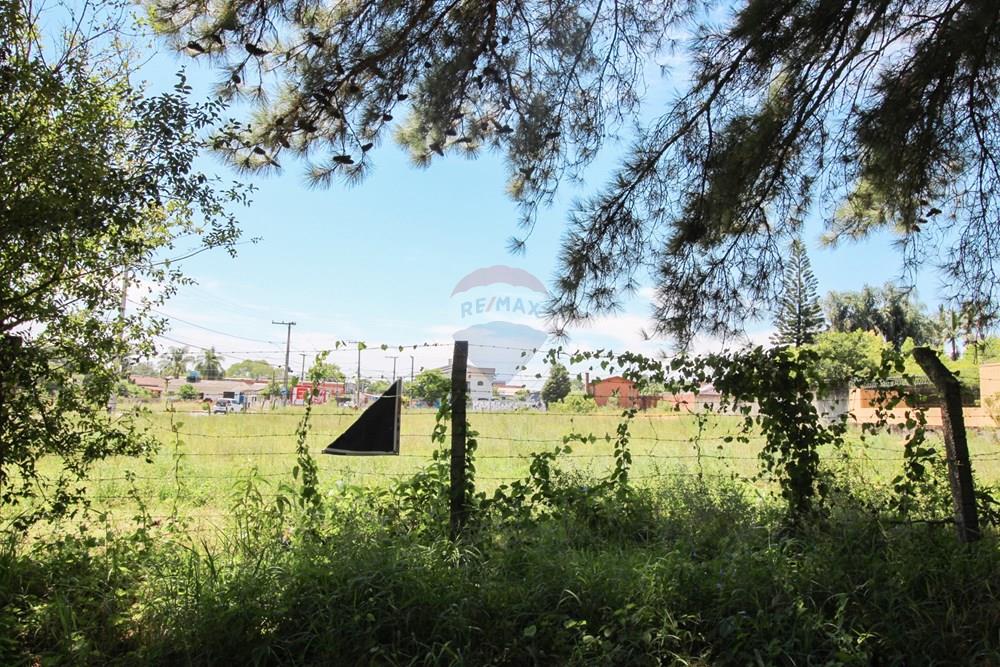 Terreno - Venda - Santa Maria , Rio Grande do Sul - IMG_4980.jpg - 610471031-19