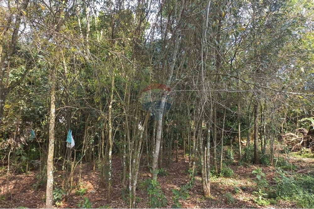 Chácara / Sítio / Fazenda - Venda - Nonoai , Rio Grande do Sul - IRIA 04.jpg - 610231002-40