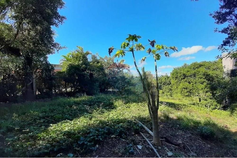 Chácara / Sítio / Fazenda - Venda - Alvorada , Rio Grande do Sul - WhatsApp Image 2025-07-31 at 16.29.26.jpeg - 612531061-12