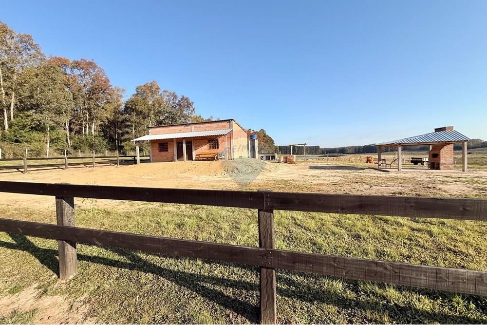 Chácara / Sítio / Fazenda - Venda - São Gabriel , Rio Grande do Sul - 0cf20eb1-65c8-458d-b9a7-1ead850f91be.jpeg - 612631037-9