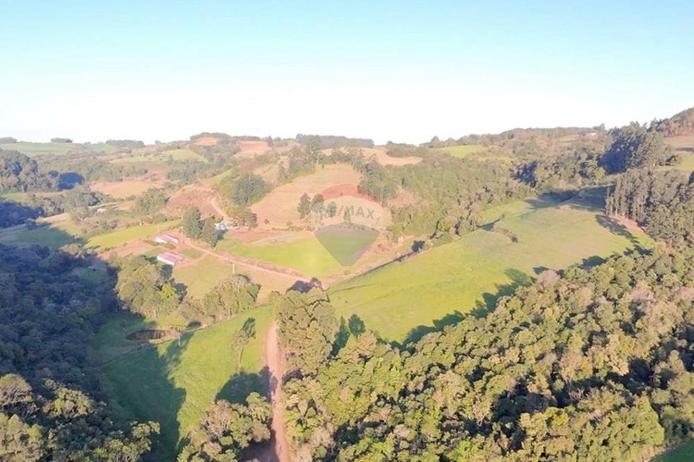 Agro - Venda - Três Palmeiras , Rio Grande do Sul - WhatsApp Image 2025-08-30 at 19.38.26.jpeg - 610231001-208