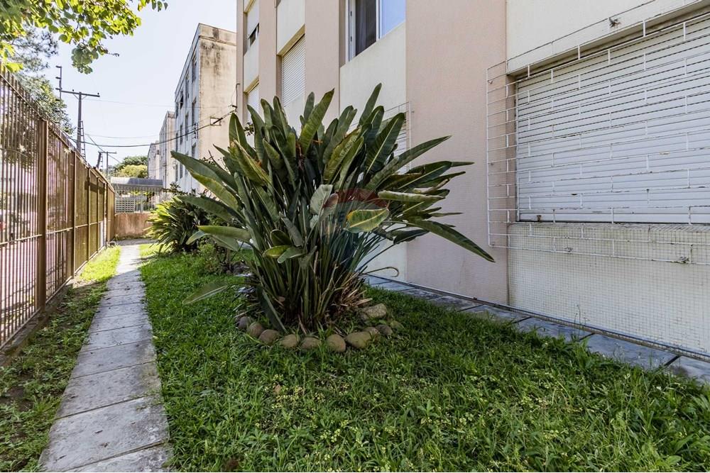 Apartamento - Venda - Porto Alegre , Rio Grande do Sul - IMG_0049-HDR.jpg - 612511054-41