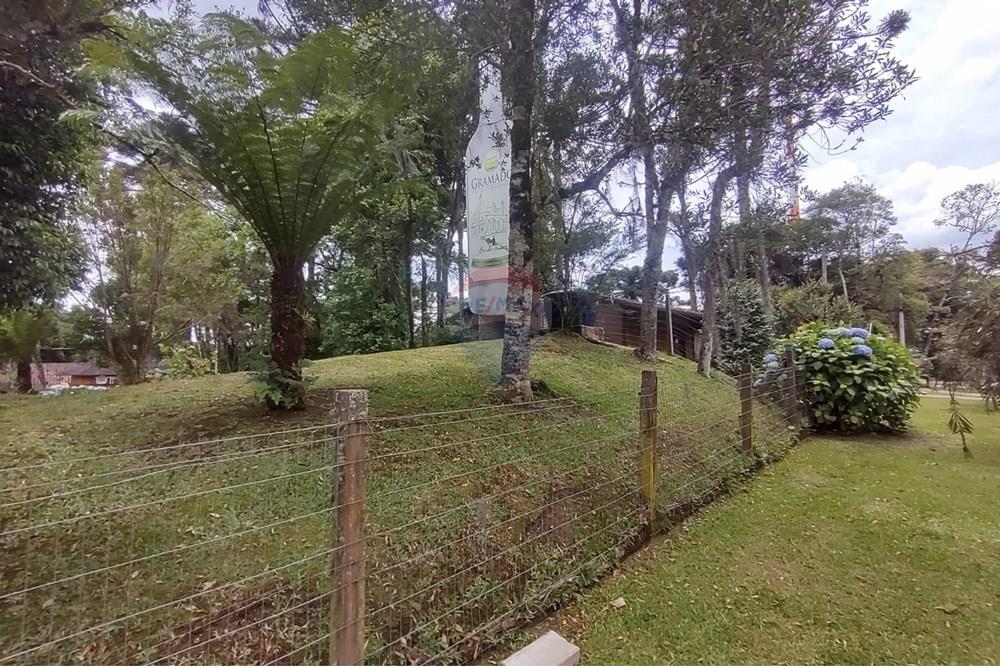 Casa - Venda - Canela , Rio Grande do Sul - WhatsApp Image 2025-12-15 at 13.41.25.jpeg - 610131041-86