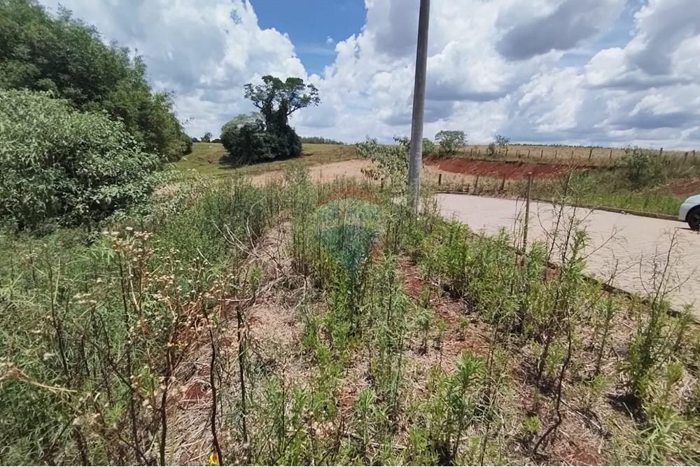 Terreno - Venda - Erechim , Rio Grande do Sul - WhatsApp Image 2025-12-03 at 09.48.09 (1).jpeg - 612761006-64