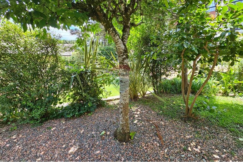 Casa - Venda - Canela , Rio Grande do Sul - Imagem do WhatsApp de 2025-12-16 à(s) 19.19.32_ca875079.jpg - 610131044-22