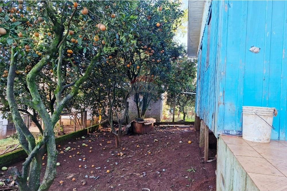 Casa - Venda - Trindade do Sul , Rio Grande do Sul - IMG-20250703-WA0037.jpg - 610231029-113