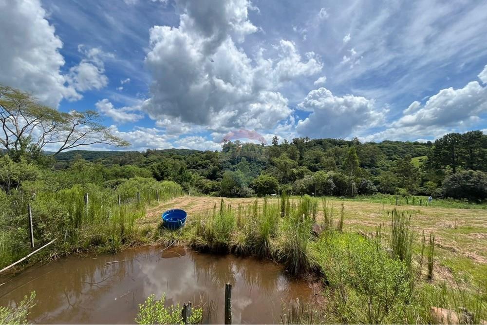 Terreno - Venda - Santa Maria , Rio Grande do Sul - WhatsApp Image 2026-01-26 at 09.42.32 (1).jpeg - 610451036-2