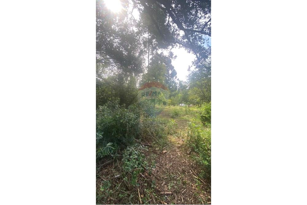 Chácara / Sítio / Fazenda - Venda - Rio Pardo , Rio Grande do Sul - IMG_5705.jpeg - 612741002-49