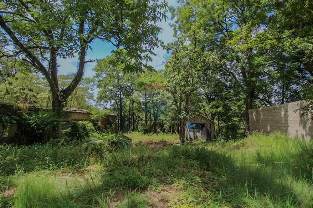 Terreno - Venda - Santa Maria , Rio Grande do Sul - IMG_9377.JPG - 610471004-13