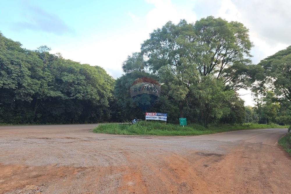 Terreno - Venda - Passo Fundo , Rio Grande do Sul - 20260218_183522.jpg - 612621034-49