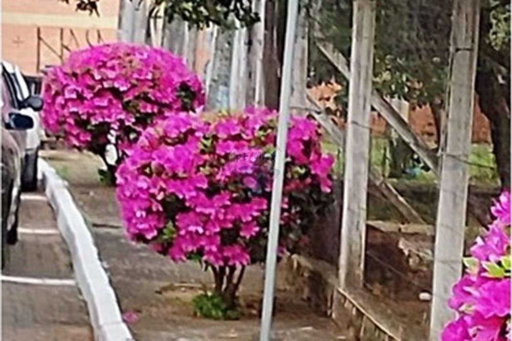 Casa - Venda - Gravataí , Rio Grande do Sul - WhatsApp Image 2025-09-23 at 18.03.37.jpeg - 610161099-1