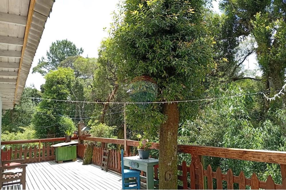 Casa - Venda - São Francisco de Paula , Rio Grande do Sul - PHOTO-2025-11-15-12-43-28.jpg - 610131044-30