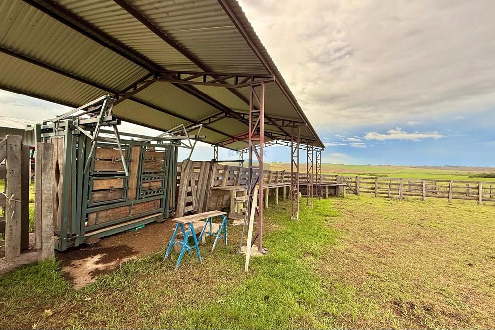 Chácara / Sítio / Fazenda - Venda - São Gabriel , Rio Grande do Sul - WhatsApp Image 2025-03-07 at 09.58.56 (1).jpeg - 612631001-65