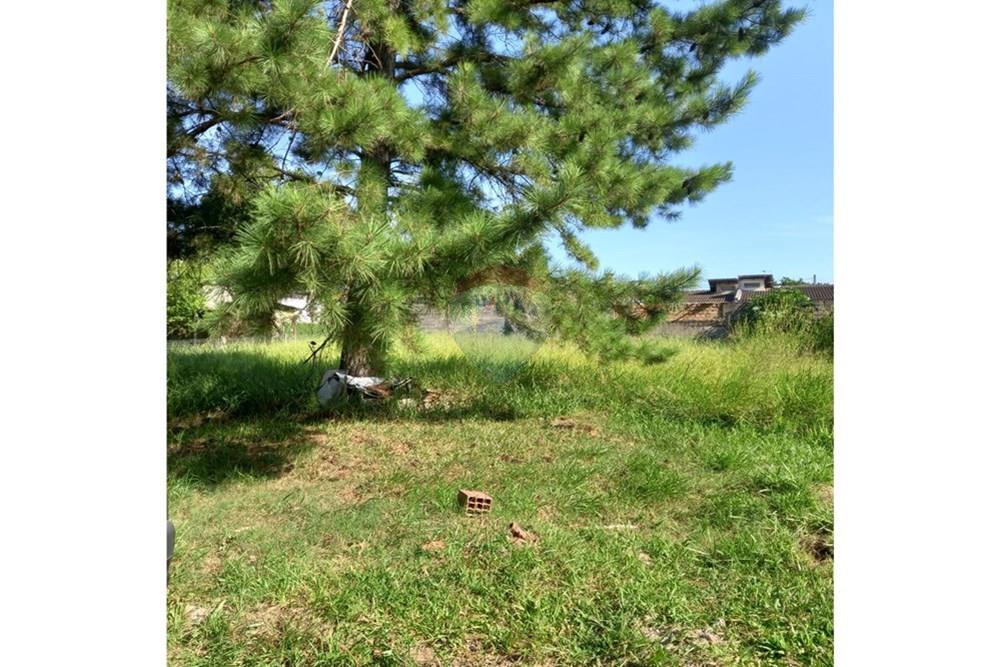 Terreno - Venda - Gravataí , Rio Grande do Sul - WhatsApp Image 2026-01-29 at 15.43.17 (2).jpeg - 610141011-88